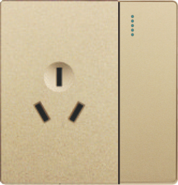 Q10-006 一开16A插座