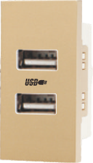 A118-009 双USB插座