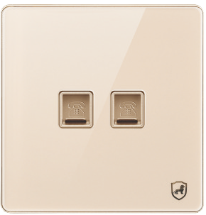 G18-031 二位电脑插座