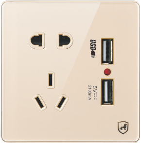 G18-032 五孔带双USB插座