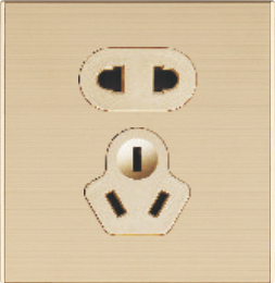 Q6-010 二、三极插座