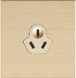 Q6-009 16A三极插座