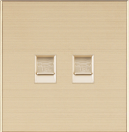 Q6-017 二位电话插座