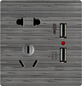 G12-031 五孔带双USB插座