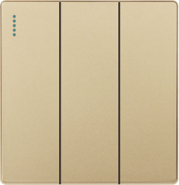 Q10-003 三位开关