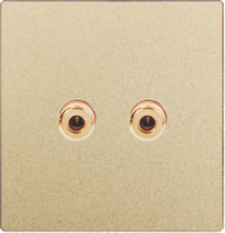 Q10-019 两位音箱