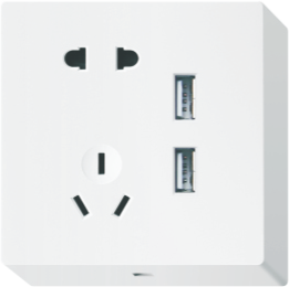 N20-019 五孔双USB插座