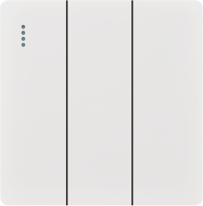 Q10-007 三位开关