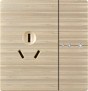 G12-016 一开16A插座