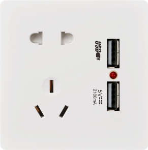 Q10-031 五孔带双USB插座