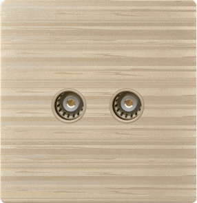 G12-026 二位电视插座