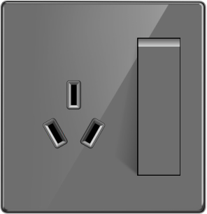 G32-010 一位开关带16A三级插座