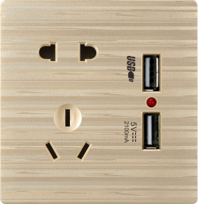 G12-031 五孔带双USB插座