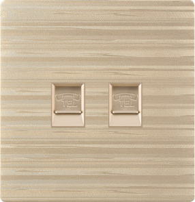 G12-030 二位电脑插座