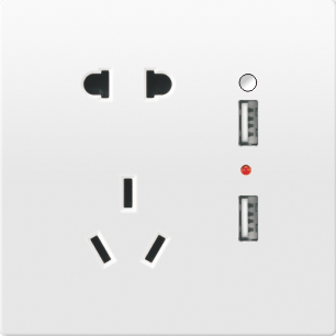 X9-010 五孔带二位USB