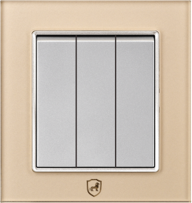 G16-007 三位开关