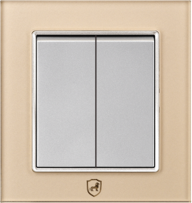 G16-004 二位开关