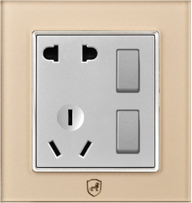 G16-020 二开五孔插座