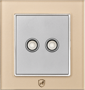 G16-026 二位电视插座