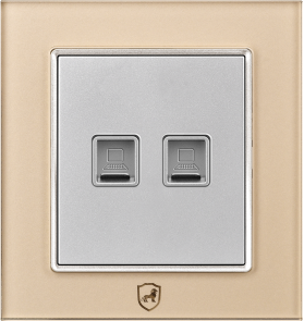 G16-030 二位电脑插座