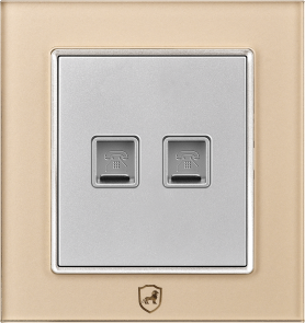 G16-027 二位电话插座