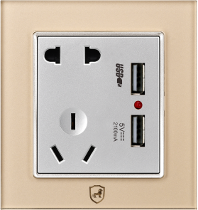 G16-031 五孔带双USB插座