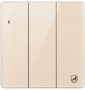 G18-007 三位开关