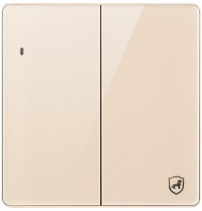 G18-004 二位开关