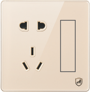 G18-018 一开单控五孔插座