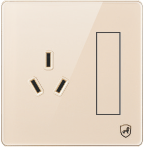G18-016 一开单控16A插座